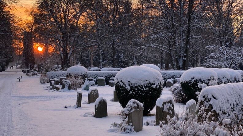 Vinter på Vestre gravlund. 