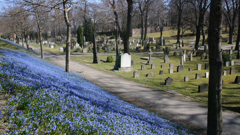 Vår Frelsers gravlund