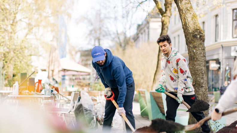 To menn som løfter jord med spader i forbindelse med dugnadsarbeid i Hegdehaugsveien.