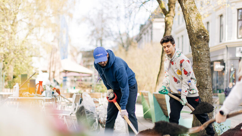 To menn som løfter jord med spader i forbindelse med dugnadsarbeid i Hegdehaugsveien.