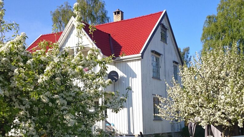 Stort, hvitt trehus omgitt av trær som blomstrer 