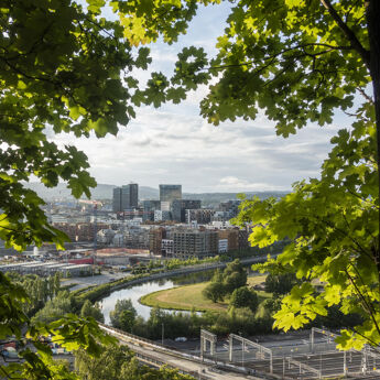 Grønne trær som omringer et utsiktsbilde av jernbanen og barcode i Oslo