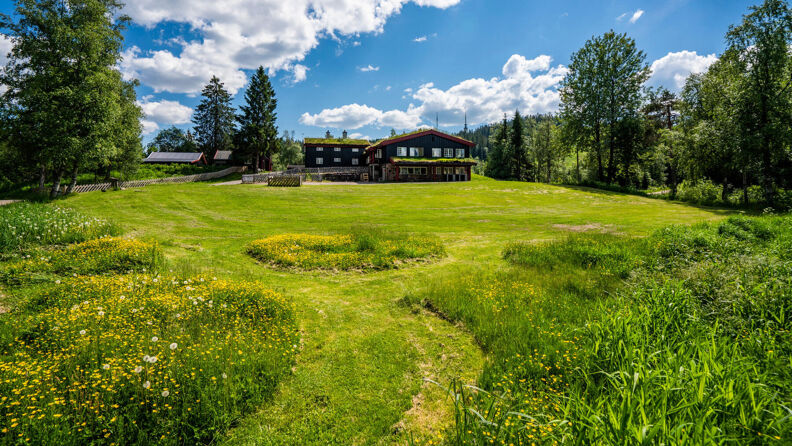 Stor gresslette foran Tryvannstua i Nordmarka.