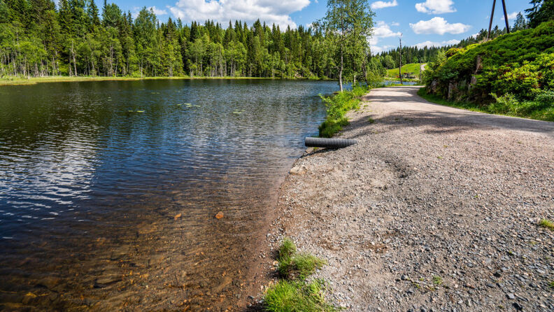 Turvei langs Skomakertjern i Nordmarka.