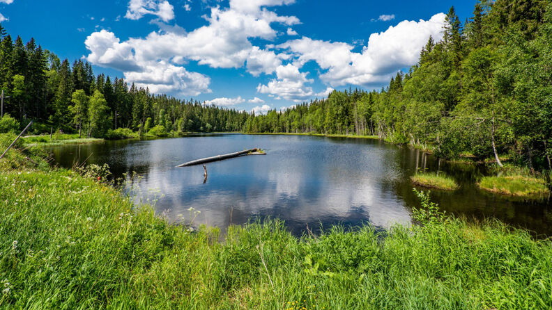Skomakertjern i Nordmarka en varm sommerdag.