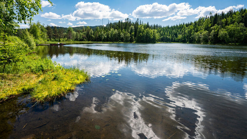 Lille Tryvann i Nordmarka en varm sommerdag.