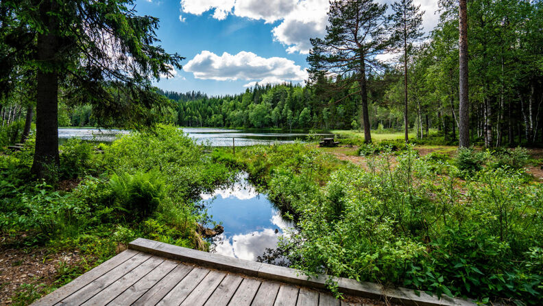En liten bro over vannet ved Lille Tryvann.