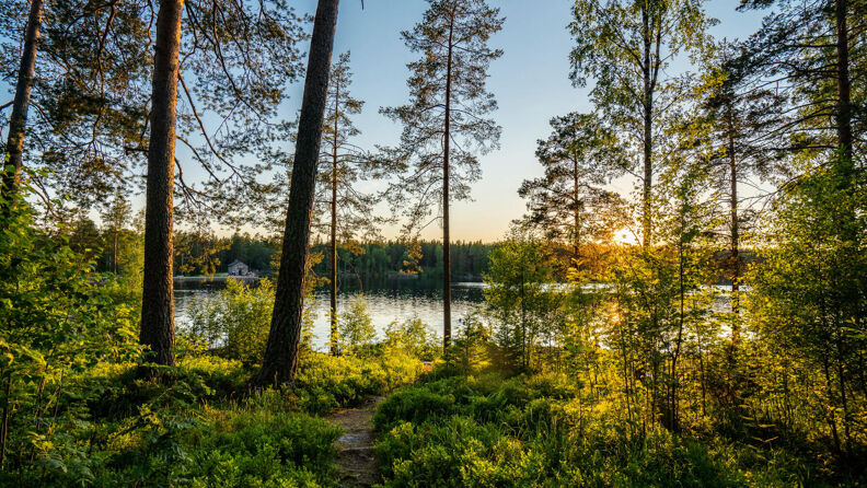 Tursti i skogen ved Steinbruvann i Nordmarka.