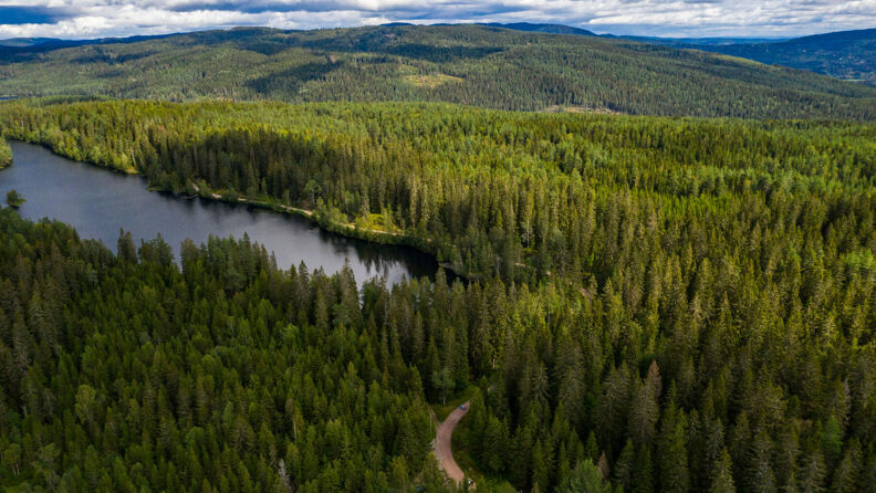 Store Åklungen sett ovenfra med skog og turvei rundt.