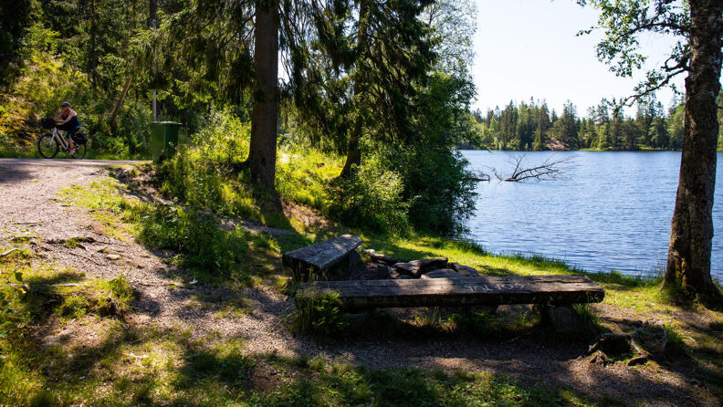 To benker, en søppelkasse og skogsvei med syklist ved Store Åklungen i Nordmarka.