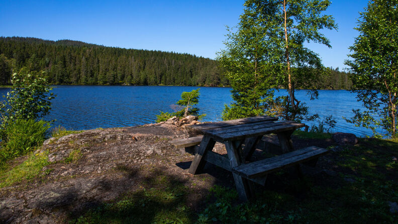 Rasteplass med bord og benker ved Store Åklungen i Nordmarka.