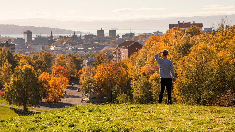 En mann speider utover byen og fjorden fra et utsiktspunkt i Torshovdalen