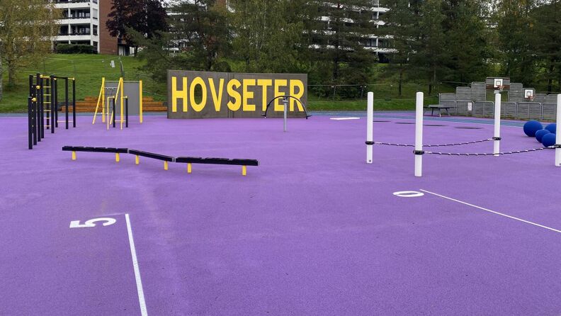 Hinderløype, slakk line og dumphuske på Hovseterdalen friplass.