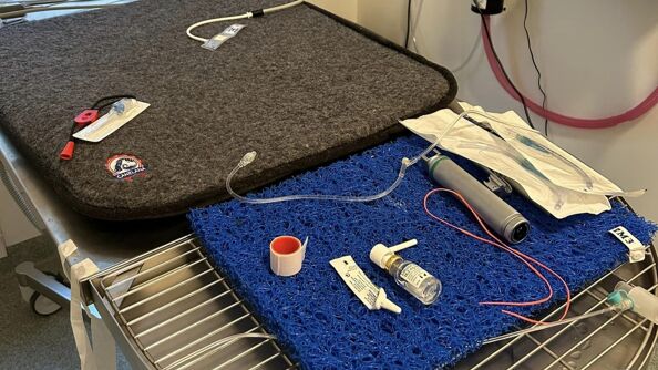 Engangsutstyr på en dyreklinikk fra Dyrebeskyttelsen.