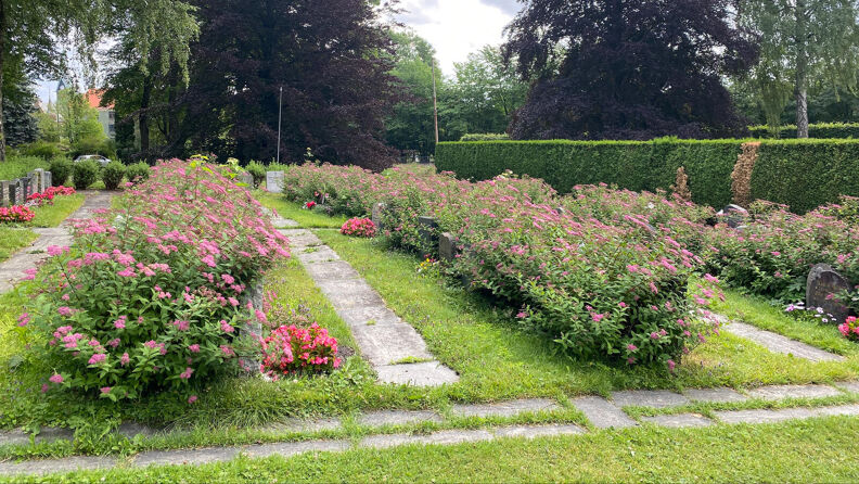 Blomstring på Nordre gravlund