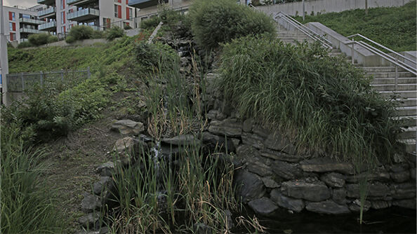 Østre bekkedrag