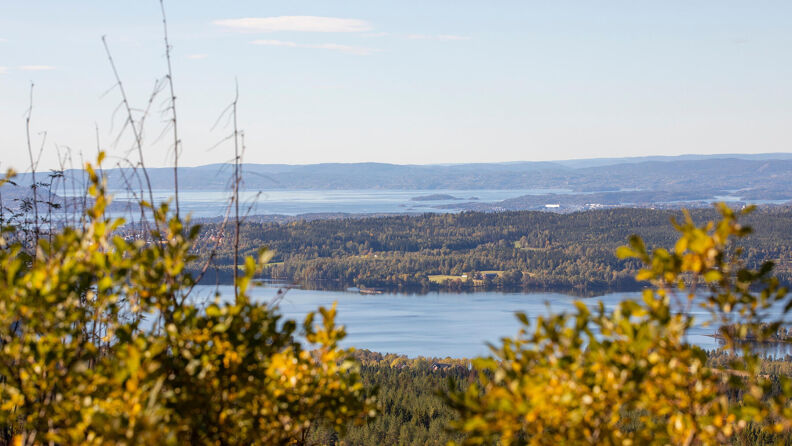 Utsikt til Maridalsvannet fra Barlindåsen.