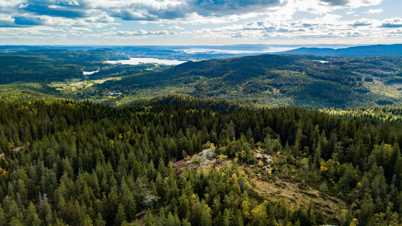 Dronebilde av utsikten fra Mellomkollen.