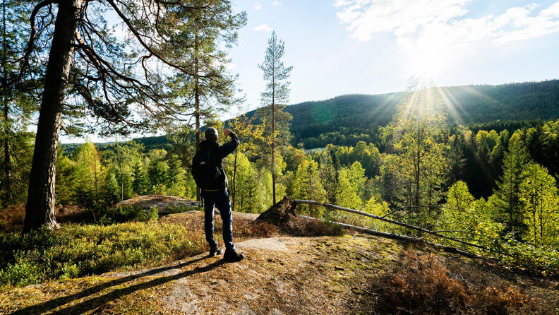 En mann speider utover fra et utsiktspunkt fra Mellomkollen i Nordmarka.