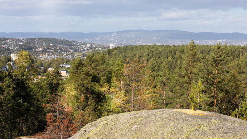 Utsikten over byen fra St. Hansåsen i Østmarka.