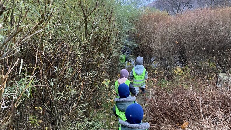 Barnegruppe på tur som går på rekke og rad på en sti gjennom et kratt 