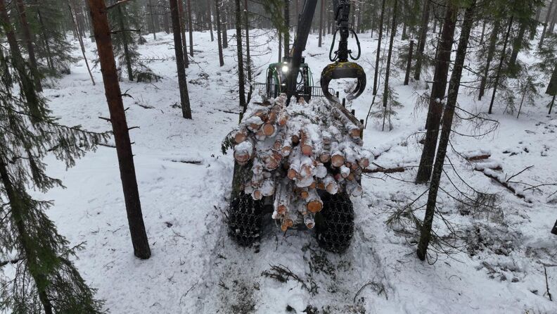 Tømmer ligger på et lasteplan i skogen.
