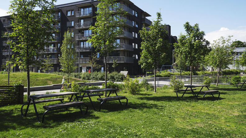 Nyplantede trær og piknikbord på gressplen foran ny boligblokk