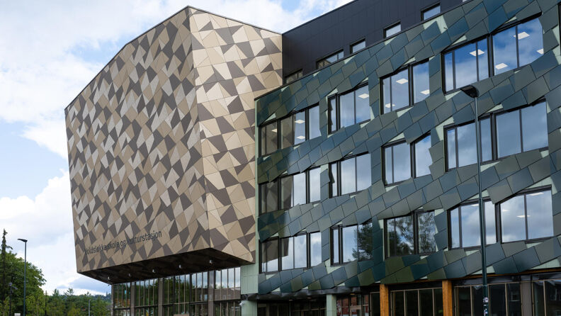 Shows Voldsløkka school