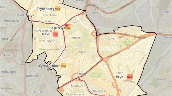 Bryn, brynseng ensjø