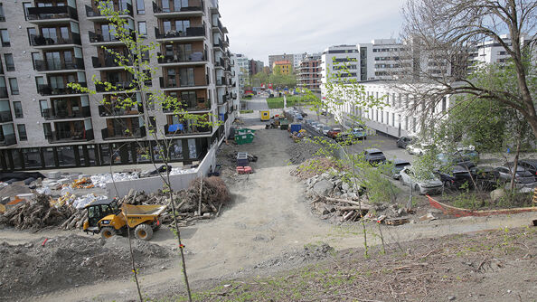 Arbeidet i Petersborgaksen starter opp