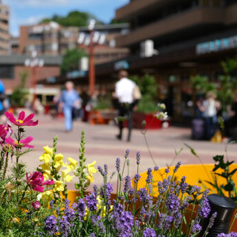 Bilde: Nikolai Kobets Freund / Oslo kommune Blomster i forgrunn og mennesker i bakgrunnen på Tøyen torg.
