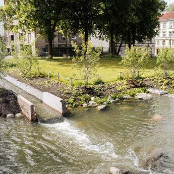 Bilde: Jørgen Mo / Oslo kommune Klosterenga øvre del med mye vann.