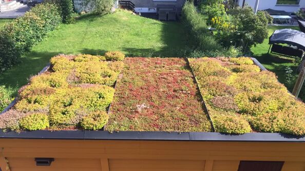 Et garasjetak med sedum