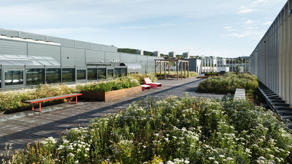 En terrasse på taket av Alf Bjerckes vei 22 med plantekasser og frodig vegetasjon