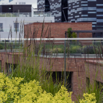 Taket på Munch Brygge