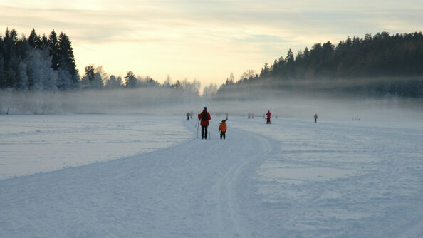 A photo of people walking and skiing on a frozen lake in Oslo in the winter