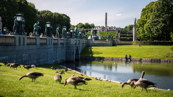 A photo of Frognerparken in Oslo with statues and geese.