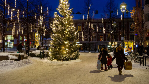 Christmas tree in Oslo in the dusk