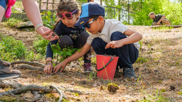 Lek og læring med kongler i Taranrød barnehage