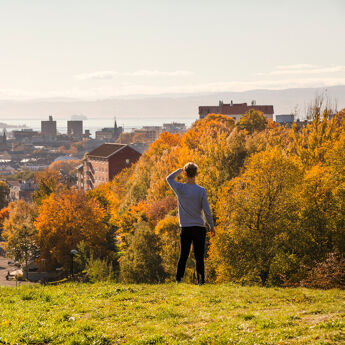 Preson speider utover byen fra Torshovdalen i høstsol.