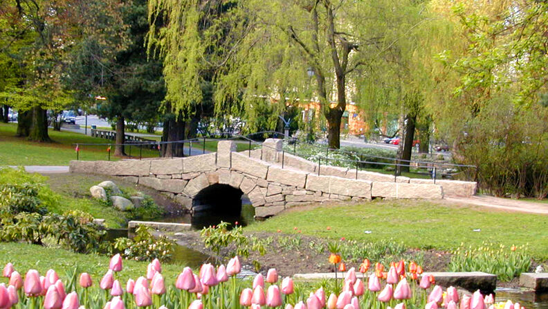 St. Hanshaugen park om våren foto