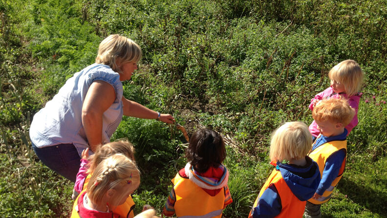 Bjerkedalen barnehage
