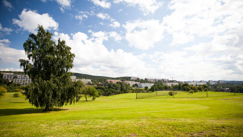 Tokeruddalen fra golfklubben