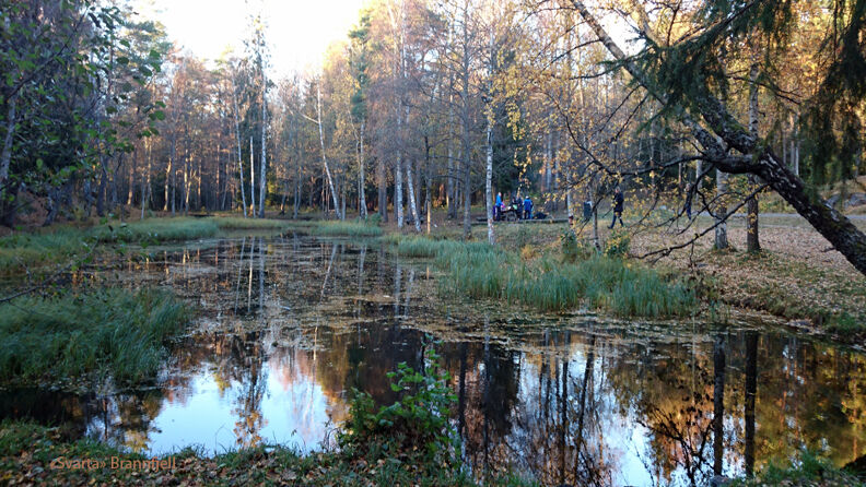 Brannfjell friluftsområde, Ekeberg