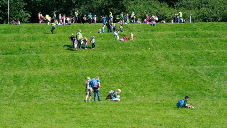 Avsatsene i Tøyenparken.
