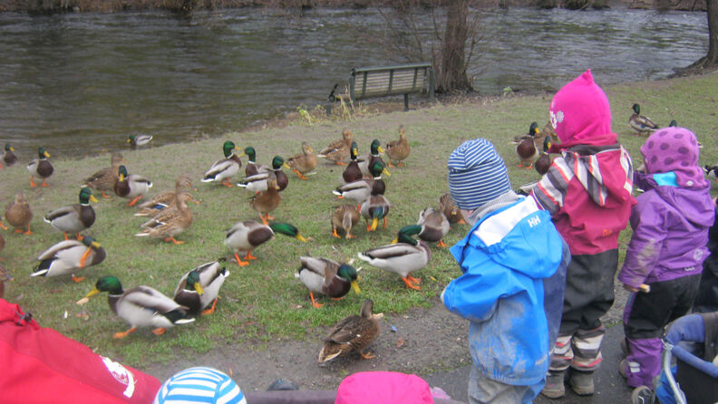 Maridalsveien barnehage-flere barn mater ender ved Akerselva