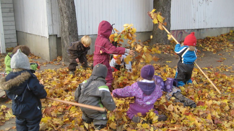 Maridalsveien barnehage - flere barn leker med masse løv på bakken